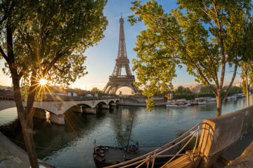 Fototapete - Eiffel Tower during sunrise in Paris, France