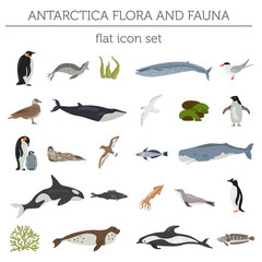 Wall Mural - Antarctic, Antarctica,  flora and fauna map, flat elements. Animals, birds and sea life big set. Build your geography infographics collection