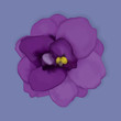 Vector violet flower.