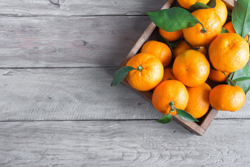 Wall Mural - tangerines