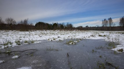 Wall Mural - Winter meadows with snow and frozen puddle. Beautiful polish landscape.