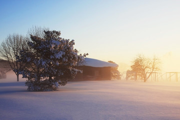 Winter time nature background.Beautiful winter misty morning landscape with rising sun light over covered by fresh snow field and trees.