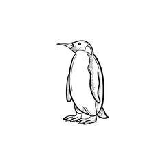 Poster - Vector hand drawn Penguin outline doodle icon. Penguin sketch illustration for print, web, mobile and infographics isolated on white background.