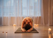 © Yakobchuk Olena - Calm young woman is doing yoga exercise. She is kneeling and stretching her body with arms forward. Candles are on floor