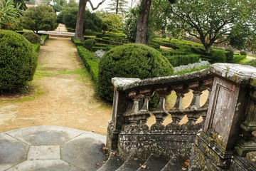 Topiary art garden in winter