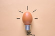 Light Bulb Egg shell on Base Concept  Energy Saving
