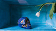© Thais Ramos Varela/Stocksy - blue mexican skull looking at a tulip