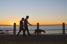 Silhouette Of Couple Walking With Dog