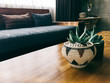 © VISUALSPECTRUM/Stocksy - Pot Plants on Wooden Table in Minimalist Living Room