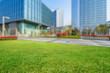 beautiful green meadow near modern office building
