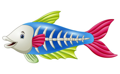 Cute x-ray fish cartoon