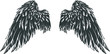 Hand drawn detailed wings.