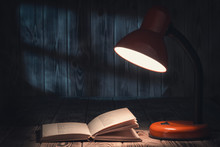 Night Reading With Lamp