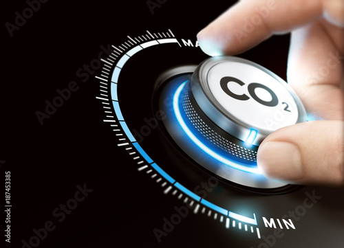 Fotografie, Obraz Reduce Carbon Dioxyde Footprint. CO2 Removal