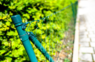 Wall Mural - old fence