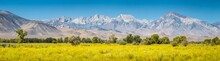 Eastern Sierra Nevada Mountain Range In Summer, Bishop, California, USA