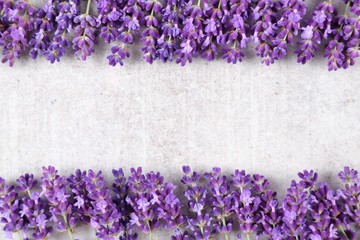 Wall Mural - Lavender.