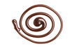 Chocolate caramel sauce swirl on a plain white backround