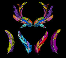 Feathers Embroidery Set With Colorful Frame. Peacock Feather. Vector Illustration.