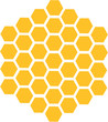 Bee honeycomb hexagon honey