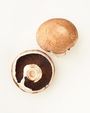 Portobello Mushroom On White Background