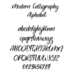 Poster - Decorative calligraphic alphabet. Handwritten brush letters. Uppercase, lowercase. Hand drawn ABC for your Designs: wallpaper, pattern, poster, postcard, logo, wedding invitation. Vector Illustrations