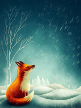 Little Red Fox In Winter
