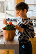 © Lea Jones/Stocksy - Boy potting a red ranunculus
