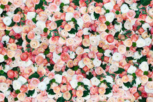 Floral Background Patter