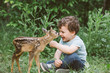© AD Photography/Stocksy - Little boy playing with fawn