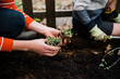 © Lea Jones/Stocksy - Mother and son gardening together
