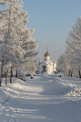 Wall Mural - Winter landscape. Alley in the park leading to the Orthodox Chur