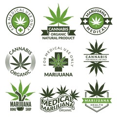 Sticker - Labels set with different pictures of marijuana plants. Medical herbs, cannabis leaf