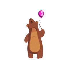 Wall Mural - grizzly bear standing with purple glossy balloon and looking up. cartoon wild animal with brown fur 