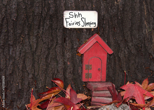 Close Up Of Tree Trunk With Fairy Door Autumn Leaves An Urban