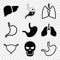 Poster - Set of 9 anatomy filled and outline icons