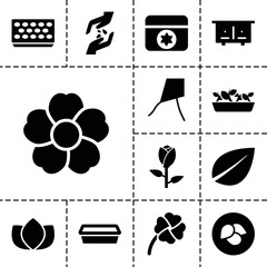 Wall Mural - Flower icons. set of 13 editable filled flower icons