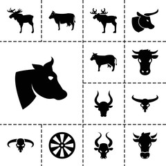 Wall Mural - Bull icons. set of 13 editable filled bull icons