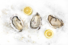 Overhead Photo Of Three Oysters With Lemons And Copy Space