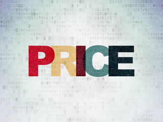 Marketing concept: Painted multicolor text Price on Digital Data Paper background