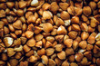 Roasted buckwheat macro Background