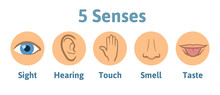 Set Of Five Human Senses Icon: Vision, Hearing, Smell, Hearing, Touch, Taste. Eye, Ear, Hand, Nose And Mouth With Tongue. Simple Icons In Circles, Vector Illustration Isolated On White Background