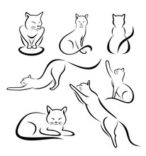 Different Cat Poses