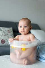 Poster - Cute little four month old baby boy, playing in bucket full with water