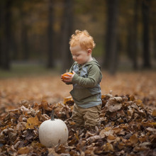 Cute Baby Boy Looking At Pumpkin While Standing On Dry Leaves At Park