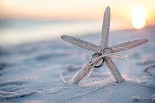 Wedding Rings Tied To A Starfish Stuck In The Sand On The Beach With The Sunset In The Background