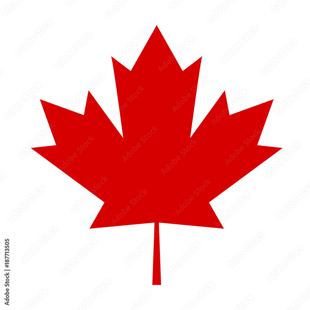 Czerwony liść symbol kanady - obrazy, fototapety, plakaty 