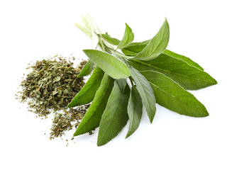 Sticker - Leaves of sage. Fresh and dry