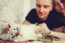 Happy Couple With Cat At Home. Focus On Kitty