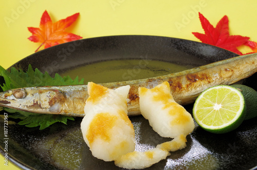 焼きさんまと大根おろし猫 Adobe Stock でこのストック画像を購入して 類似の画像をさらに検索 Adobe Stock 焼きさんまと大根おろし猫 Adobe Stock でこのストック画像を購入して 類似の画像をさらに検索 Adobe Stock